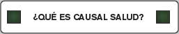 ¿QUÉ ES CAUSAL SALUD?